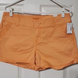Maurices Shorts